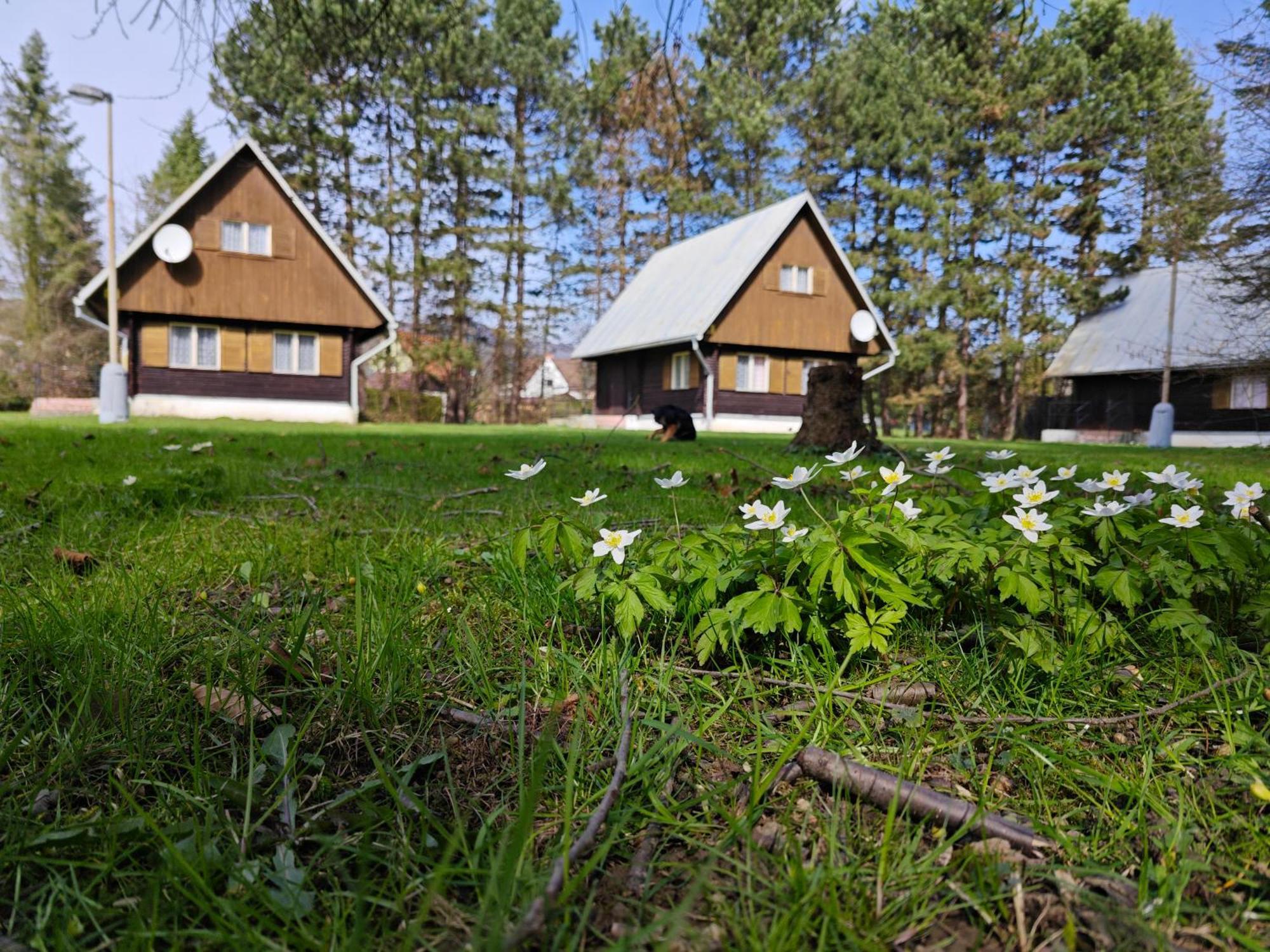 Bungalovy Roznov Villa Roznov pod Radhostem Exterior photo